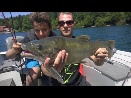 Cristivomer lac du Bouchet 2
